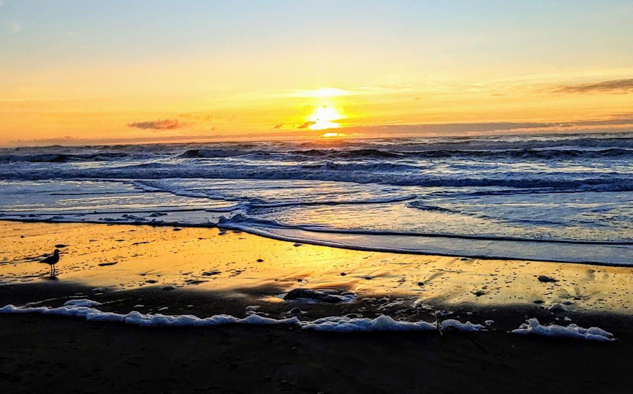 Beachfront Manor Hotel Lincoln City Eksteriør billede